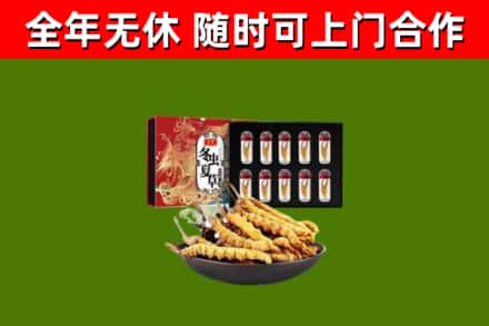 桑植烟酒回收冬虫夏草礼盒.jpg