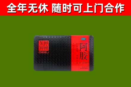 桑植烟酒回收阿胶.jpg